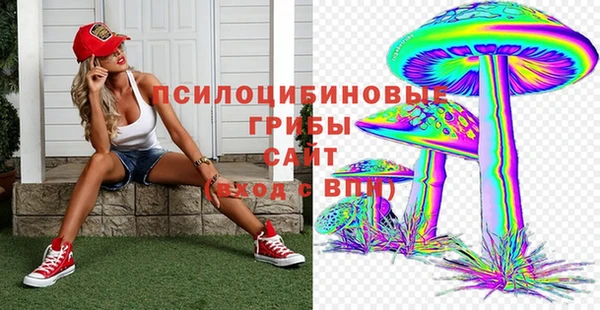 мет Арсеньев